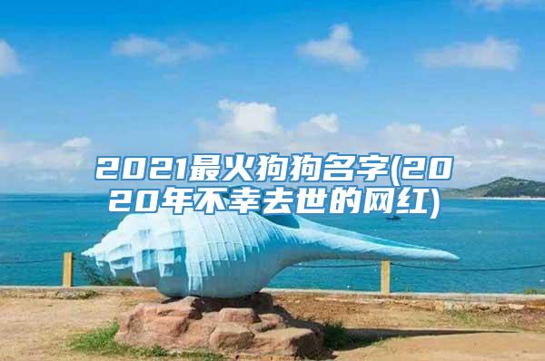 2021最火狗狗名字(2020年不幸去世的网红)