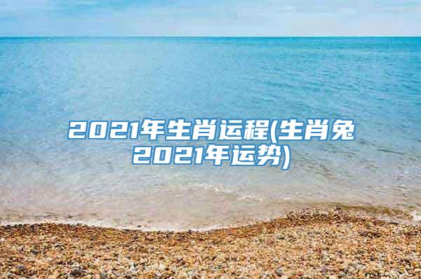 2021年生肖运程(生肖兔2021年运势)