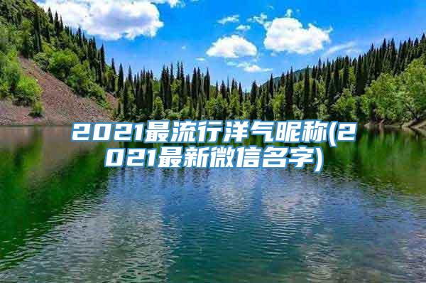2021最流行洋气昵称(2021最新微信名字)