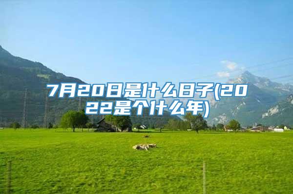7月20日是什么日子(2022是个什么年)
