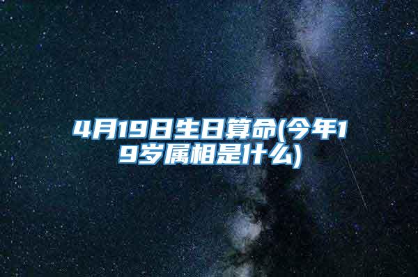 4月19日生日算命(今年19岁属相是什么)