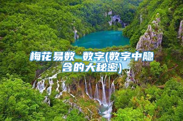 梅花易数 数字(数字中隐含的大秘密)