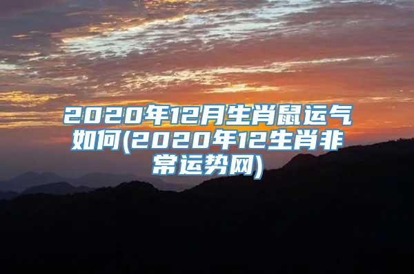 2020年12月生肖鼠运气如何(2020年12生肖非常运势网)