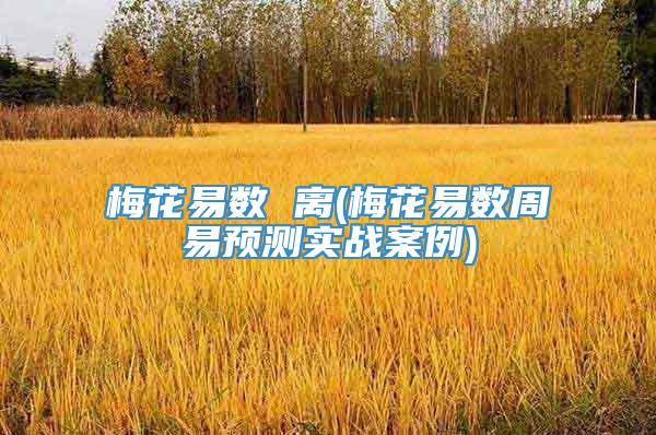 梅花易数 离(梅花易数周易预测实战案例)