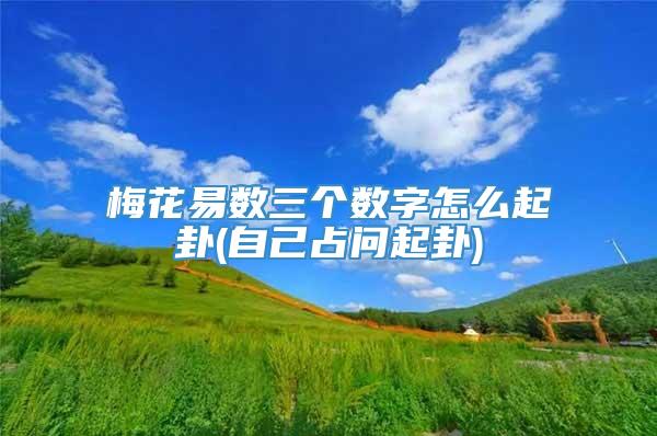 梅花易数三个数字怎么起卦(自己占问起卦)