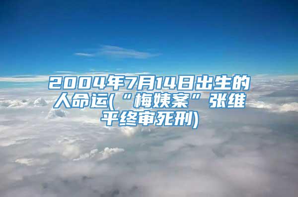 2004年7月14日出生的人命运(“梅姨案”张维平终审死刑)