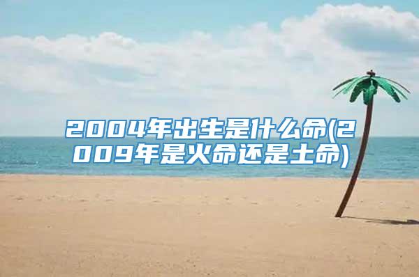 2004年出生是什么命(2009年是火命还是土命)