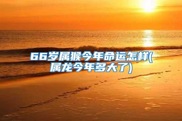 66岁属猴今年命运怎样(属龙今年多大了)