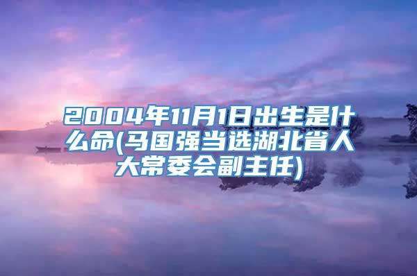 2004年11月1日出生是什么命(马国强当选湖北省人大常委会副主任)