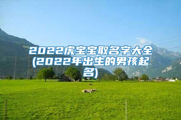 2022虎宝宝取名字大全(2022年出生的男孩起名)