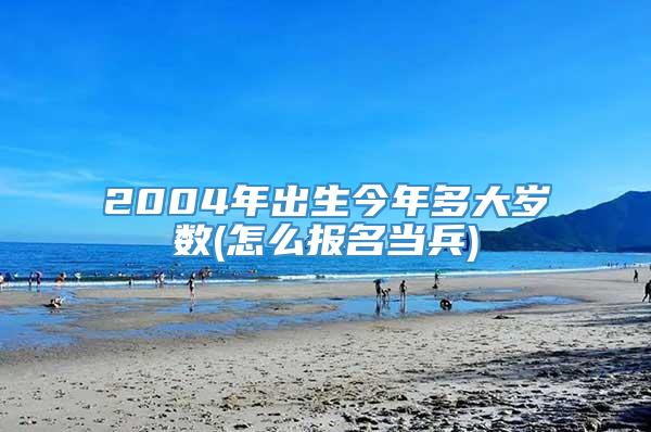 2004年出生今年多大岁数(怎么报名当兵)