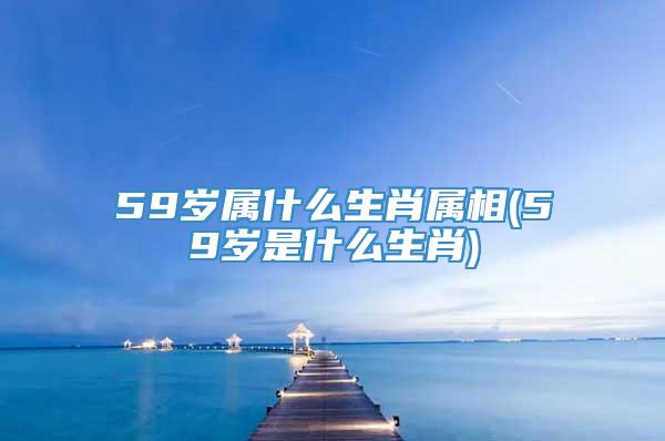 59岁属什么生肖属相(59岁是什么生肖)