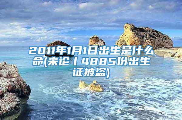 2011年1月1日出生是什么命(来论丨4885份出生证被盗)