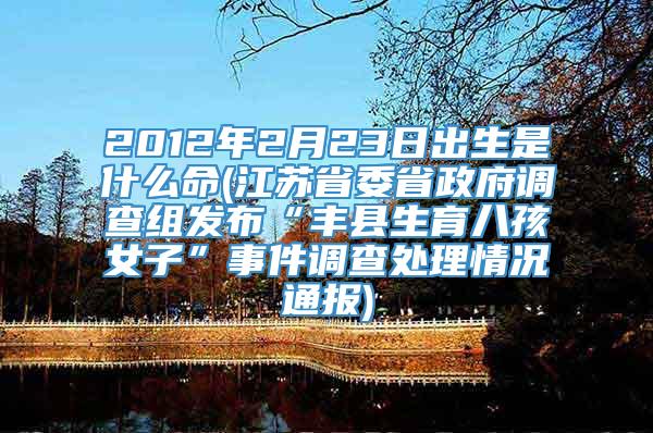 2012年2月23日出生是什么命(江苏省委省政府调查组发布“丰县生育八孩女子”事件调查处理情况通报)