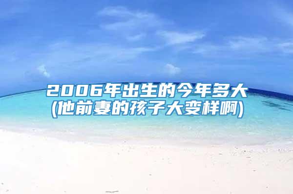 2006年出生的今年多大(他前妻的孩子大变样啊)