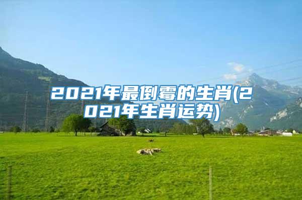 2021年最倒霉的生肖(2021年生肖运势)