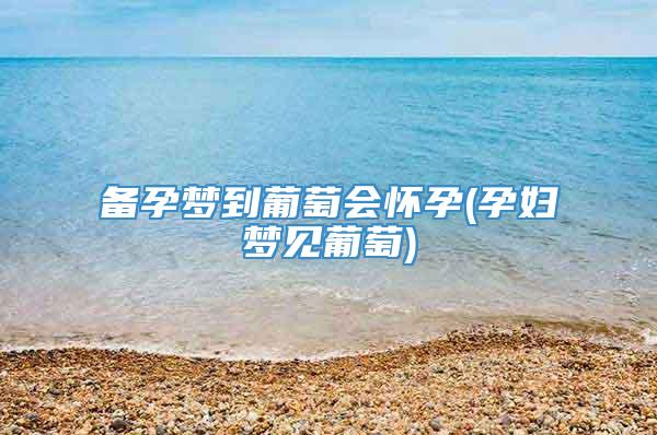 备孕梦到葡萄会怀孕(孕妇梦见葡萄)