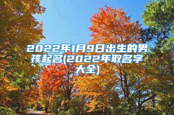 2022年1月9日出生的男孩起名(2022年取名字大全)