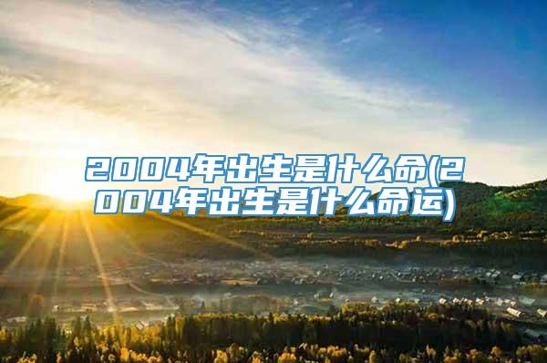 2004年出生是什么命(2004年出生是什么命运)