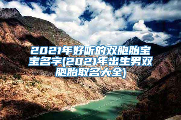 2021年好听的双胞胎宝宝名字(2021年出生男双胞胎取名大全)