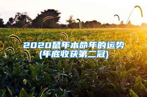 2020鼠年本命年的运势(年底收获第二冠)