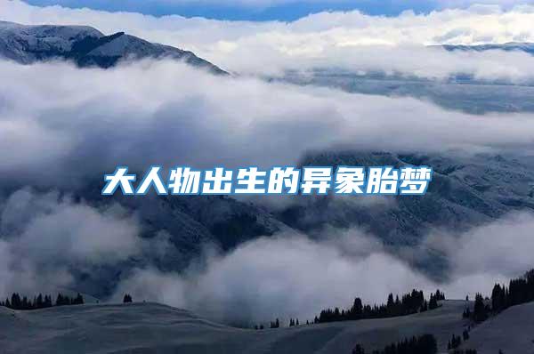 大人物出生的异象胎梦