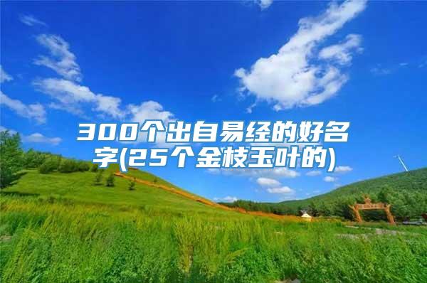 300个出自易经的好名字(25个金枝玉叶的)