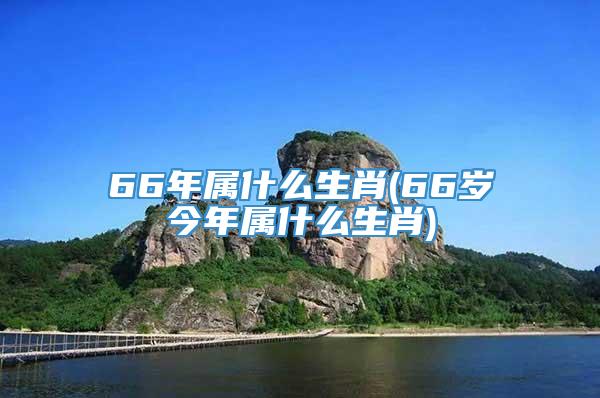 66年属什么生肖(66岁今年属什么生肖)