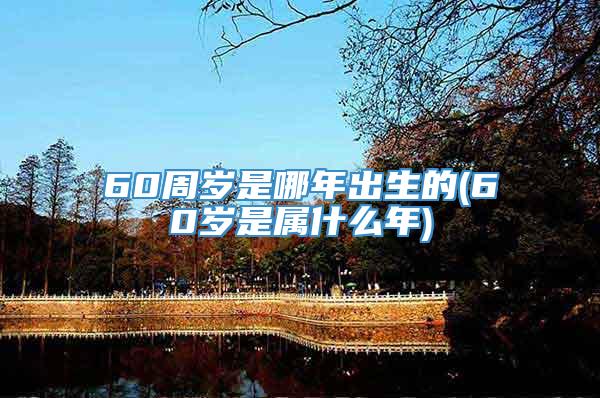 60周岁是哪年出生的(60岁是属什么年)