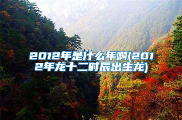 2012年是什么年啊(2012年龙十二时辰出生龙)