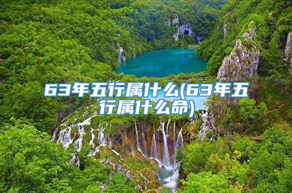 63年五行属什么(63年五行属什么命)