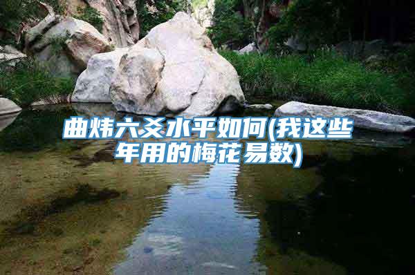 曲炜六爻水平如何(我这些年用的梅花易数)