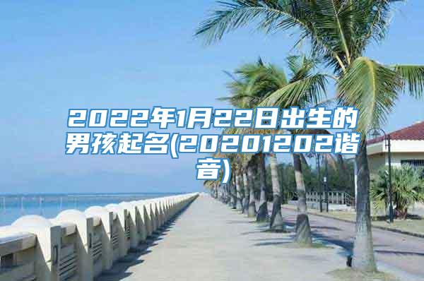 2022年1月22日出生的男孩起名(20201202谐音)