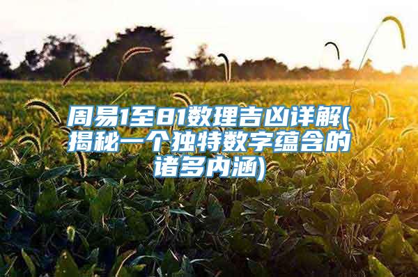周易1至81数理吉凶详解(揭秘一个独特数字蕴含的诸多内涵)