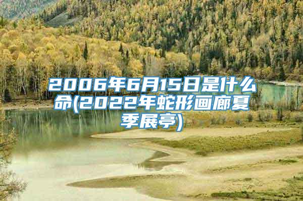 2006年6月15日是什么命(2022年蛇形画廊夏季展亭)