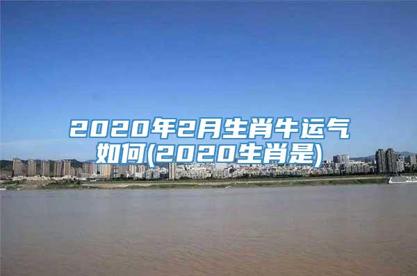 2020年2月生肖牛运气如何(2020生肖是)