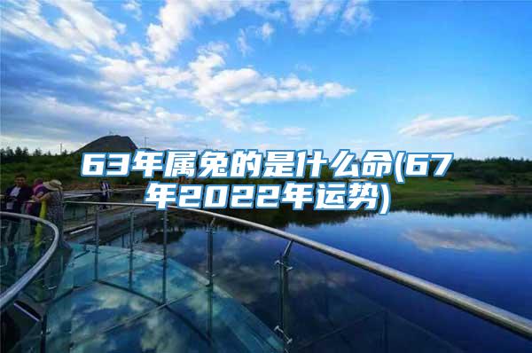 63年属兔的是什么命(67年2022年运势)