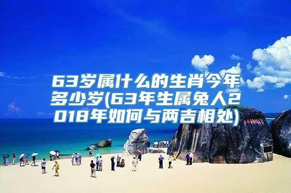 63岁属什么的生肖今年多少岁(63年生属兔人2018年如何与两吉相处)