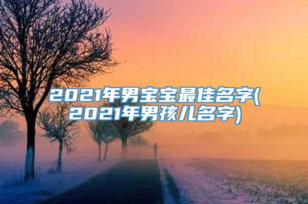 2021年男宝宝最佳名字(2021年男孩儿名字)