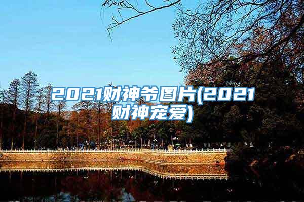 2021财神爷图片(2021财神宠爱)