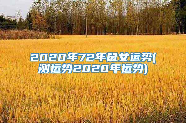 2020年72年鼠女运势(测运势2020年运势)