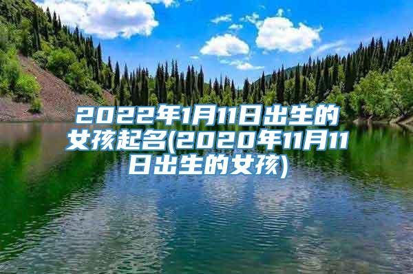 2022年1月11日出生的女孩起名(2020年11月11日出生的女孩)