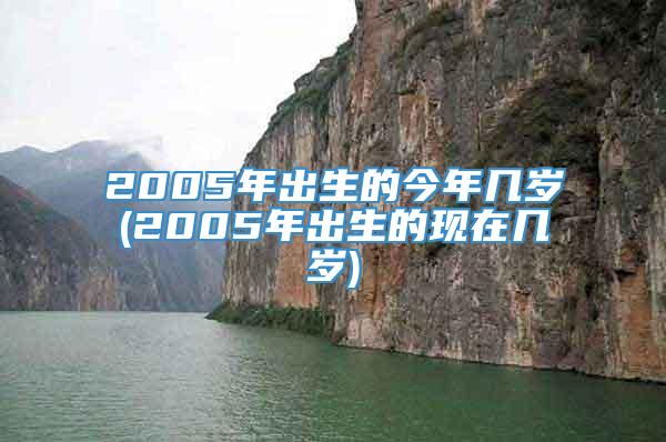 2005年出生的今年几岁(2005年出生的现在几岁)