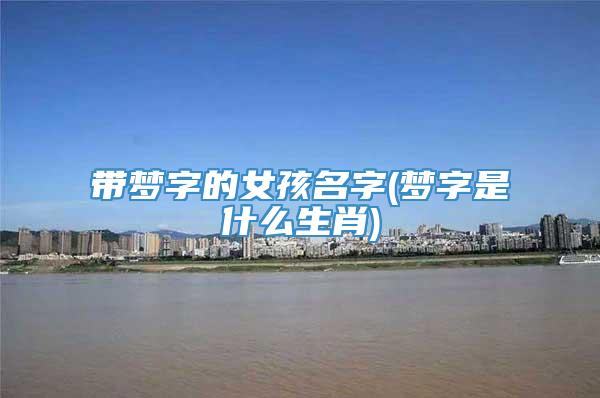 带梦字的女孩名字(梦字是什么生肖)