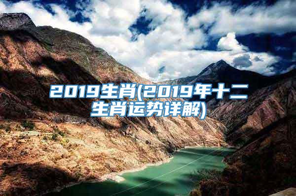 2019生肖(2019年十二生肖运势详解)