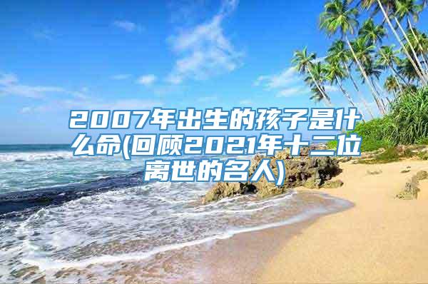 2007年出生的孩子是什么命(回顾2021年十二位离世的名人)