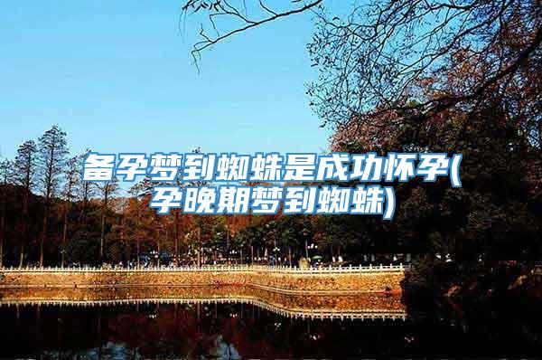 备孕梦到蜘蛛是成功怀孕(孕晚期梦到蜘蛛)