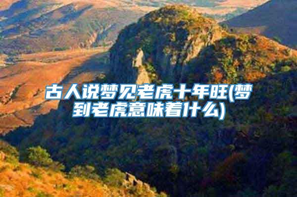 古人说梦见老虎十年旺(梦到老虎意味着什么)
