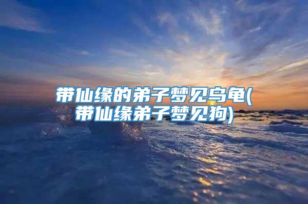 带仙缘的弟子梦见乌龟(带仙缘弟子梦见狗)