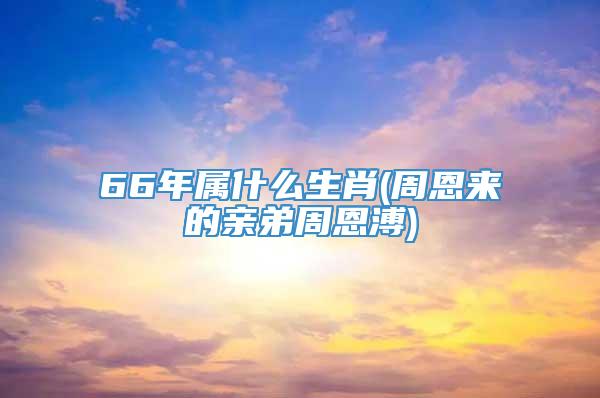 66年属什么生肖(周恩来的亲弟周恩溥)